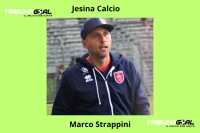 Allenatori: Marco Strappini e lo "strappo" con la Jesina