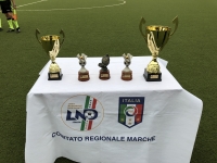 Coppa Marche Seconda Categoria: Gare e risultati